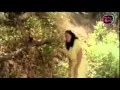Awsome Romantic Lady Clip194
