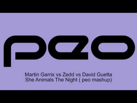 Martin Garrix vs Zedd vs David Guetta - She Animals the Night (peo mashup)