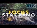 The FASTEST WAY to FOCUS STACK!