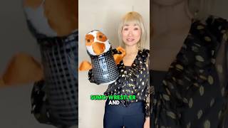 Is Fried Chicken Sushi strong?    #ventriloquist  #comedy #puppet