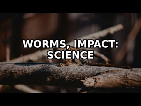 Tiny Worms, Big Impact: The Science of Vermicomposting