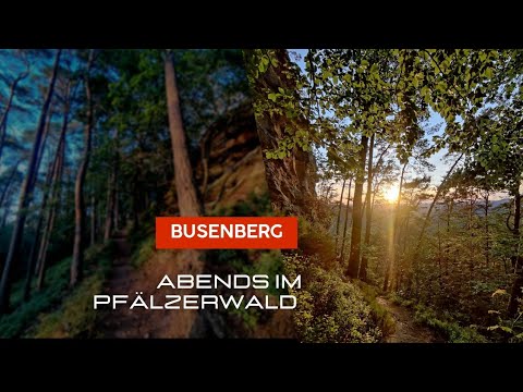 Traumhaft schöner SONNENUNTERGANG im Pfälzerwald ❤️