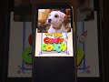 The Big Comfy Couch Swing A Ling And Wishbone Hot Diggety Dawg Part 1 Of 2