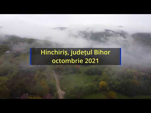 Misty Hinchiris, octombrie 2021