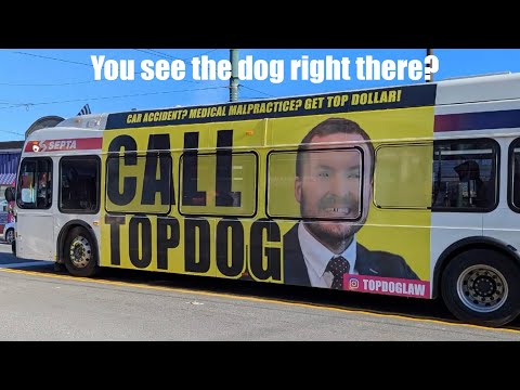 Top Dog Law - You see the dog right there? - January 26, 2026