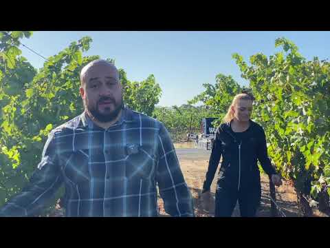 Episode 16: NVG's Fridays in the Vineyard with Giovani Verdejo & Alicia Sylvester