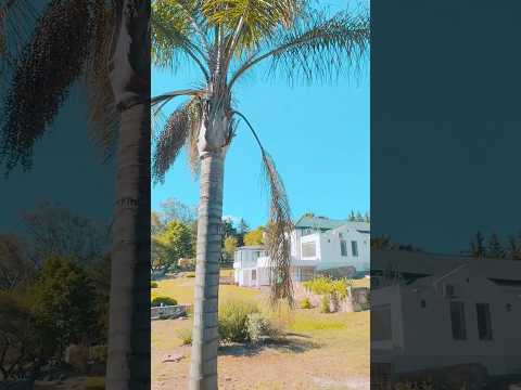 Casa en venta - Villa Silvina, Salsipuedes.