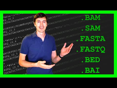 The Only 4 Bioinformatics File Types You Really Need to Know!