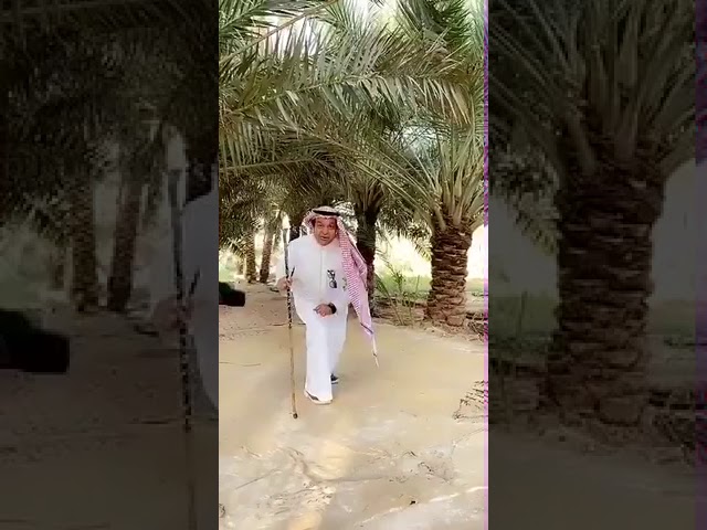 مرخيات القلايد