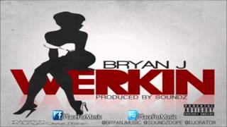 Bryan J - Werkin