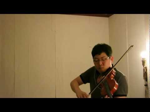 Leap the Precipice Violin Cover - Eternal Sonata