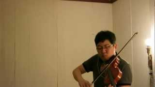 Leap the Precipice Violin Cover - Eternal Sonata