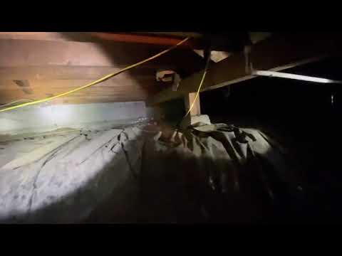 Exploring a 1950s Crawlspace