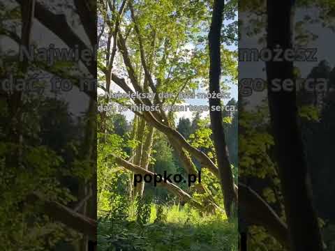 [Encyklopedia Wiedzy Duchowej] W świecie, w którym możesz być kimkolwiek, bądź wsparciem dla innych. ???? Miłość płynąca z otwartego