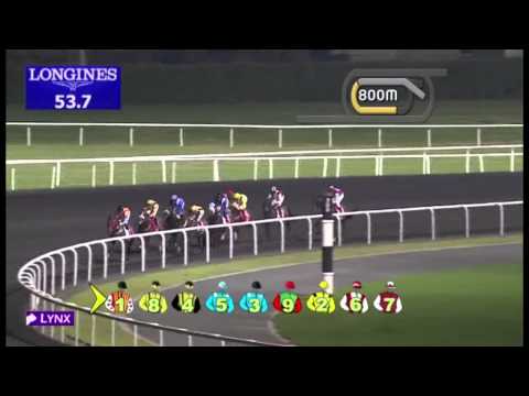 08.11.2012 Meydan (Dubai-UAE) 5.Race Emirates Airline -  1.600 m