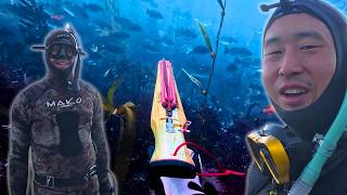 Hunting in an aquarium