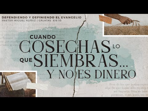 Cuando cosechas lo que siembras... y no es dinero - Pastor Miguel Núñez | La IBI
