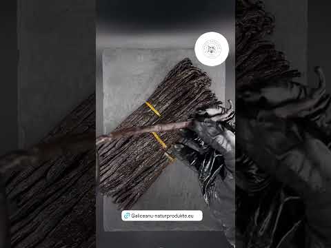 Vanille aus Madagaskar – intensiv, aromatisch, direkt vom Importeur