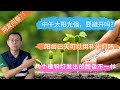 网友问答11：白天能用植物灯补光吗？刚发芽的种子能晒太阳吗？