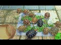 Ternyata Kura Kura Darat Sulcata Doyan Banget Makan Bunga Dari Tanaman Fumak