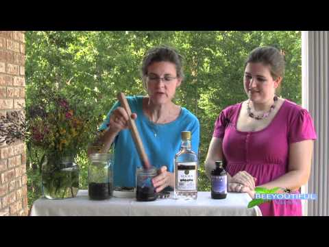 download lagu mp3 mp4 Elderberry Tincture Recipe With Fresh Elderberries, download lagu Elderberry Tincture Recipe With Fresh Elderberries gratis, unduh video klip Elderberry Tincture Recipe With Fresh Elderberries