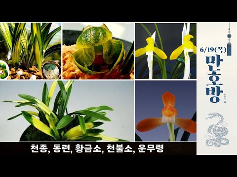 유튜브 썸네일