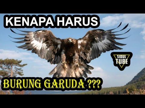 Download Lagu Garuda Pancasila Dibuat Pada Masa Mp3 dan Mp4 Terpopuler
Gratis