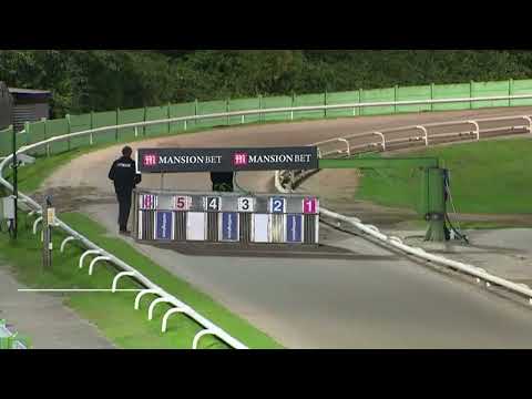 Signet Ace - Arena Racing Company Select Stakes