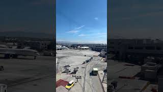 🇯🇵日本保守党応援& I love Japan.    is live! #アメリカ #日本保守党#あさ8