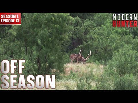 Off Season | Modern Hunter