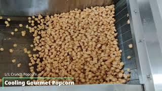 Gourmet Popcorn Making Process Caramel Popcorn Food Factory Li'L Crunch