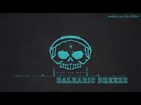 Balearic Breeze by Niklas Gustavsson - [Soft House Music]