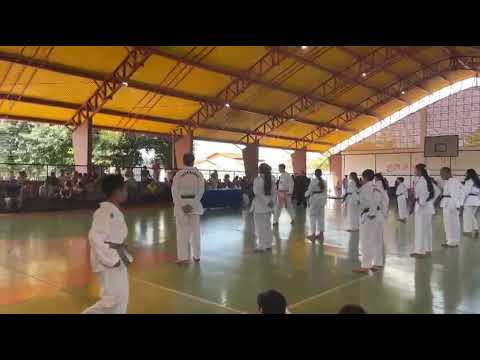 Taekwondo indiara-goias primeiro exame de faixas Coloridas 2026