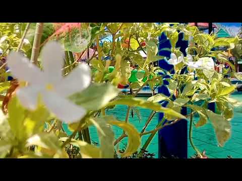 Sakit sekali epribadeh😂