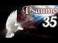 Psaume  35 - Prière de délivrance des ennemis.