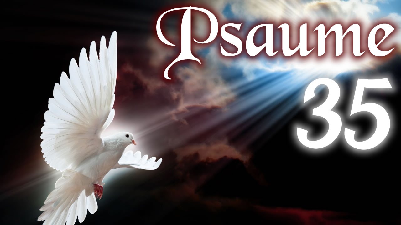 Psaume 35 - Prière de délivrance des ennemis.