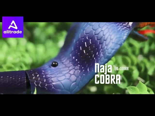 Vídeo relacionado con SGZIOO Serpiente teledirigida, RC teledirigido cobra serpiente, serpiente de juguete eléctrico, con mando a distancia, ojos LED brillantes, lengua retráctil