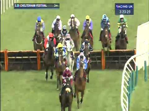 Cheltenham Festival 2013: Ladbrokes World Hurdle - Solwhit
