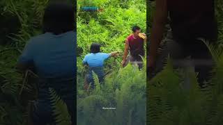 Panik Hendak Diamuk Warga, Pelaku Curanmor Nekat Terjun ke Rawa-rawa di Subang