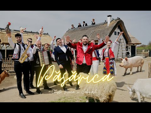 Cristi Proca & @Baboiash  - PASARICA