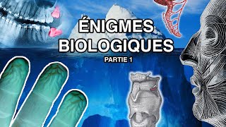 L'Iceberg Des Mystères Inexpliqués Du Corps Humain - PARTIE 1