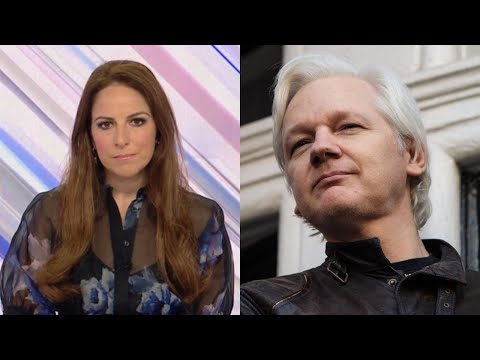 ‘Nobody’s hero’: Sharri Markson slams Julian Assange as ‘irresponsible traitor’