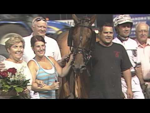 Bee A Magician Recap