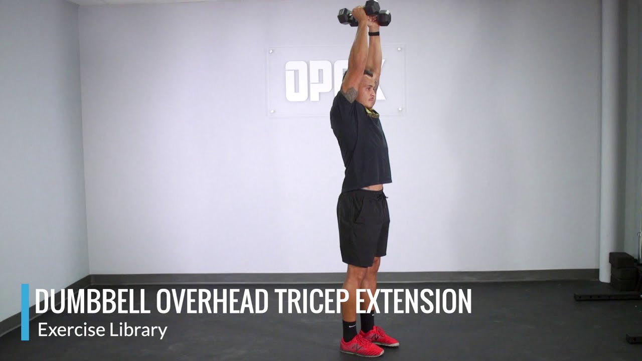 Dumbbell Overhead Triceps Extension