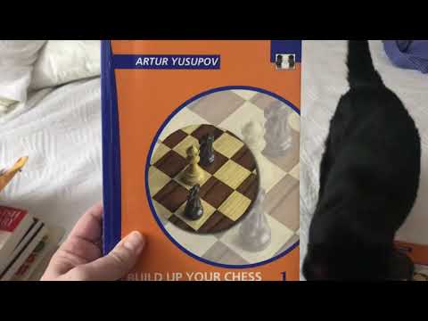 Yusupov Chess Series - Introduction