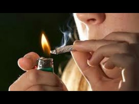 La Verde☘Black Point ❌Jc La Melodia ❌ el bloonel ❌ nino freestyle❌janko bow ❌el rey guevara ❌babymc