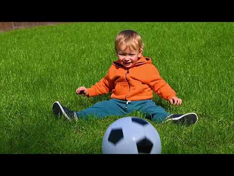 Mountain View Seeds – Our Story