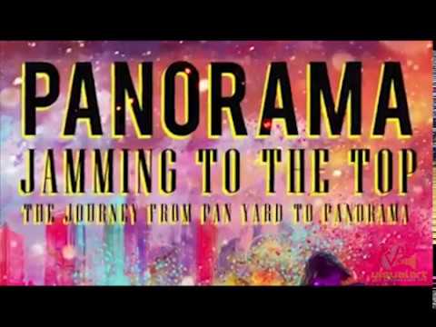 Panorama Jamming to the top - Christine Shaw (Brooklyn NYC)