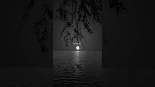 Download lagu Girls Like You : Maroon 5 | lyrics | aesthetic | whatsapp Status | Edit | slowed #lyrics mp3