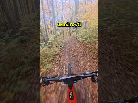 Tu ce preferi? 🤔👌 #mtb